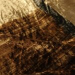 Samet s hnědo-šedými nepravidelnými většími čtverci