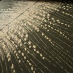 Žakárová kabátovka béžová a khaki zelená s paprskovitým vzorem