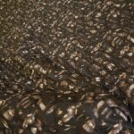 Prošev hnědý oboustranný