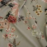 Krep šedý s volavkami