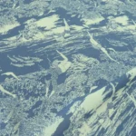 Šifon modrý s bílým vzorem podmořského světa