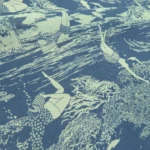 Šifon modrý s bílým vzorem podmořského světa